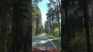 Красивая осенняя дорога