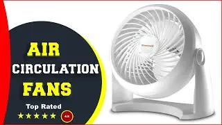 ✅ Best Tabletop Air Circulator Fan 2024