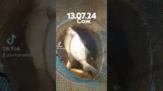 13 июля 2024 г.