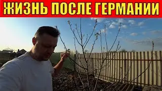 Жизнь переселенцев из Германии