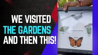 We Visited The Gardens And Learned This Interesting Facts About The Butterflies In The US #butterfly