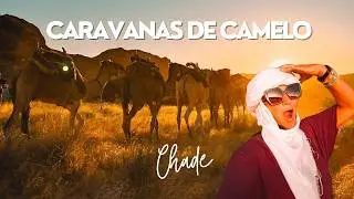 Quase não sobrevivemos a caravana de camelos no deserto do Chade!