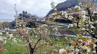 GEZLEVİ DE BAYRAM VE BAHAR
