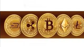 crypto market condition at the moment