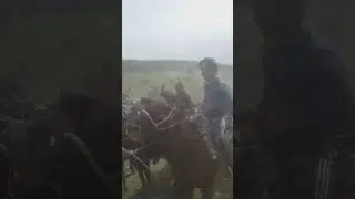 Makridlik Abal polvon kupkari