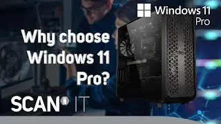 Why choose Windows 11 Pro?