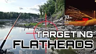 How To Catch More SUMMER FLATHEAD Catfish!