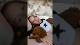 Подготовка к прогулке щенка по травке🌿