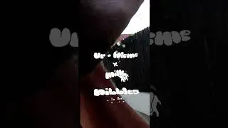 YURWLCME- NIBBLES  Mikey “Milky” Andrew dropping 6/8!