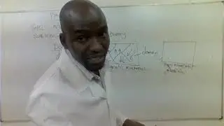 MAGNETISM- THE MAGNETIC DOMAIN THEORY( PHYSICS)