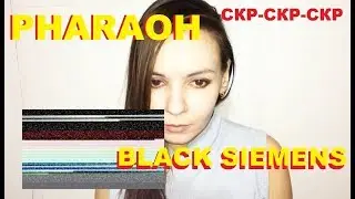 PHARAOH – BLACK SIEMENS. СМОТРЕЛИ КЛИП PHARAOH – BLACK SIEMENS??