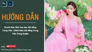 BLend Màu Ảnh Hoa Sen Với Nắng Trong Trẻo. Chỉnh Màu Giả Nắng Trong Trẻo Trong Studio