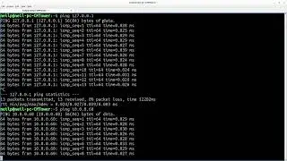 The Ping Command