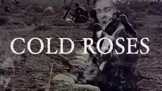 Cold Roses, Rivals, Terrible Friends - Live in Concert - Milkboy Philadelphia Nov 1st 2014