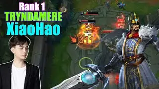 RANK 1 TRYNDAMERE - XIAOHAO TRYNDAMERE VS AMBESSA - XIAOHAO STREAM