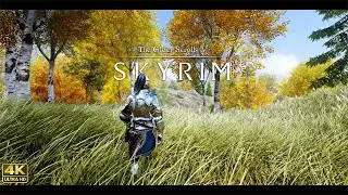 [4K] Skyrim SE Ultra Modded : Best Next Gen Graphics !! w/Modlist !!