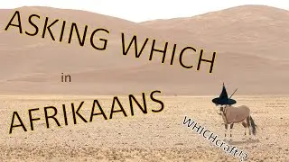 Afrikaans Whichcraft: Master how to say which in Afrikaans