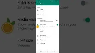 How to Change whatsapp Font Size /Whatapp Chat ka size kaise change kaire / Whatsapp chat font sett.