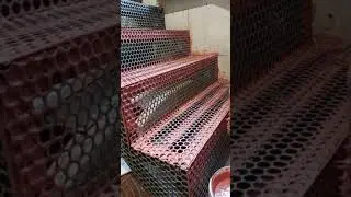 ЛЕСТНИЦА ЧУДЕСНИЦА