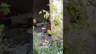 Приехали с ТНВ на место сьёмок ролика про разграбление гаражей в Азнакаево!