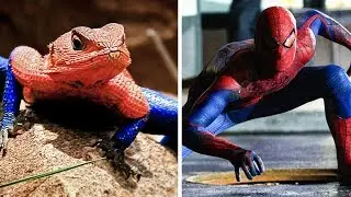 9 Animals With Spiderman Superpowers 🕷🕸