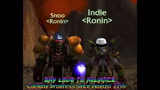 WoW Classic World PVP. Enh / Resto Shaman Ronin vs Alliance.