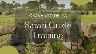The African Safari Experience Most Travellers Don't Know About