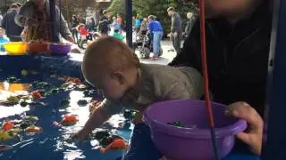Рыбалка в Ялте