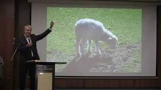 пасхальная проповедь "Христос - Пасха наша"
