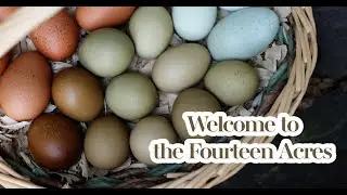 Welcome to The Fourteen Acres!