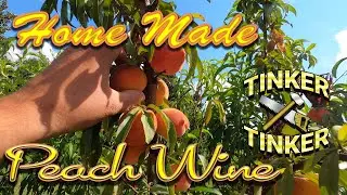 Making Peach Wine from Fresh Peaches - Part 1 Into the Primaries