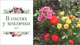 В гостях на даче у моей землячки. №2.  2017г
