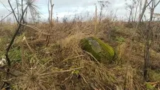 Строительство пруда. Часть 5