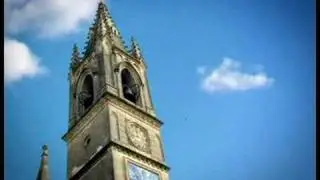 Бездомная муха