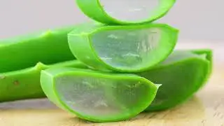 טיפול טבעי בטחורים ובפיסורה עם אלוורה