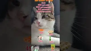 2 октября 2024 г.