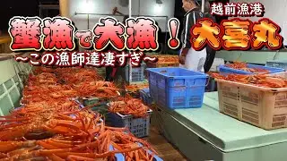 【大漁】越前大喜丸の蟹漁【越前漁港の漁師達】