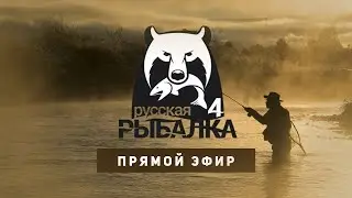 💥Русская рыбалка 4! Гуляем по водоемам и общаемся💥https://trovo.live/s/Referens/