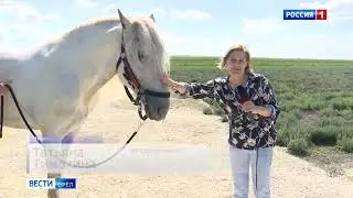 с лавандовых полей
