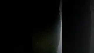ГАИ Ушачи . Лисичёнок от азарта кепку с рацией потерял.
