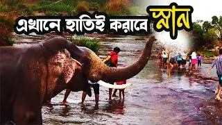 Why Coorg Elephant Camp Should Be on Your Travel Bucket List? [A Guide to Coorg Elephant Camp] EP-10