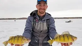 Ice Fishing North Dakota 2020 (Big Perch) - 4K