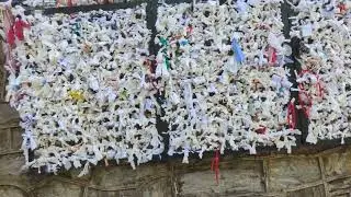 Paper Wall in Turkey 🇹🇷 (Ephesus)
