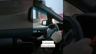 Мамулечка дома.Наше село в ожидании большого паводка😥 19.04.2024 г.
