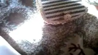VLOG . Моя шкатулка
