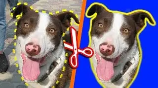 HOW TO CUT OUT ANY OBJECTS IN PAINTNET WITHOUT PHOTOSHOP