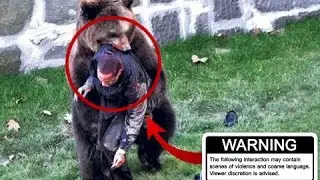 5 Shocking & Crazy animal attacks!