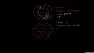 Binary, Decimal and Hexadecimal Number System
