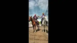 sedat kurt ereğli Dön Bakalım Yalan Dünya