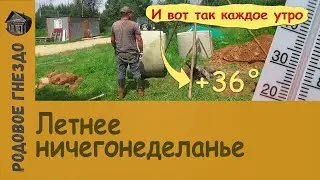 Родовое гнездо. Летнее ничегонеделанье (#005)